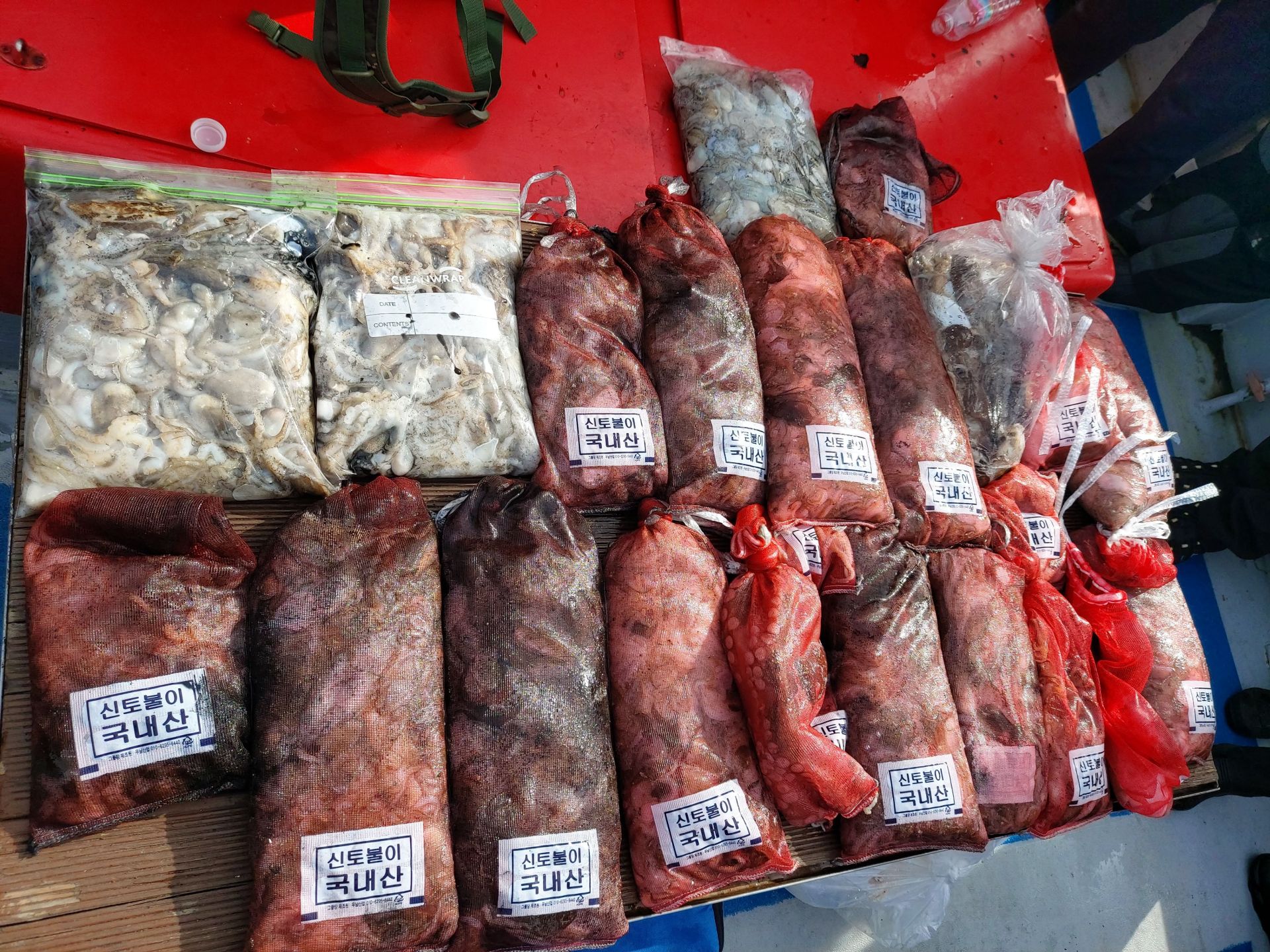 21년9월16일 주꾸미 갑오징어 조황입니다.