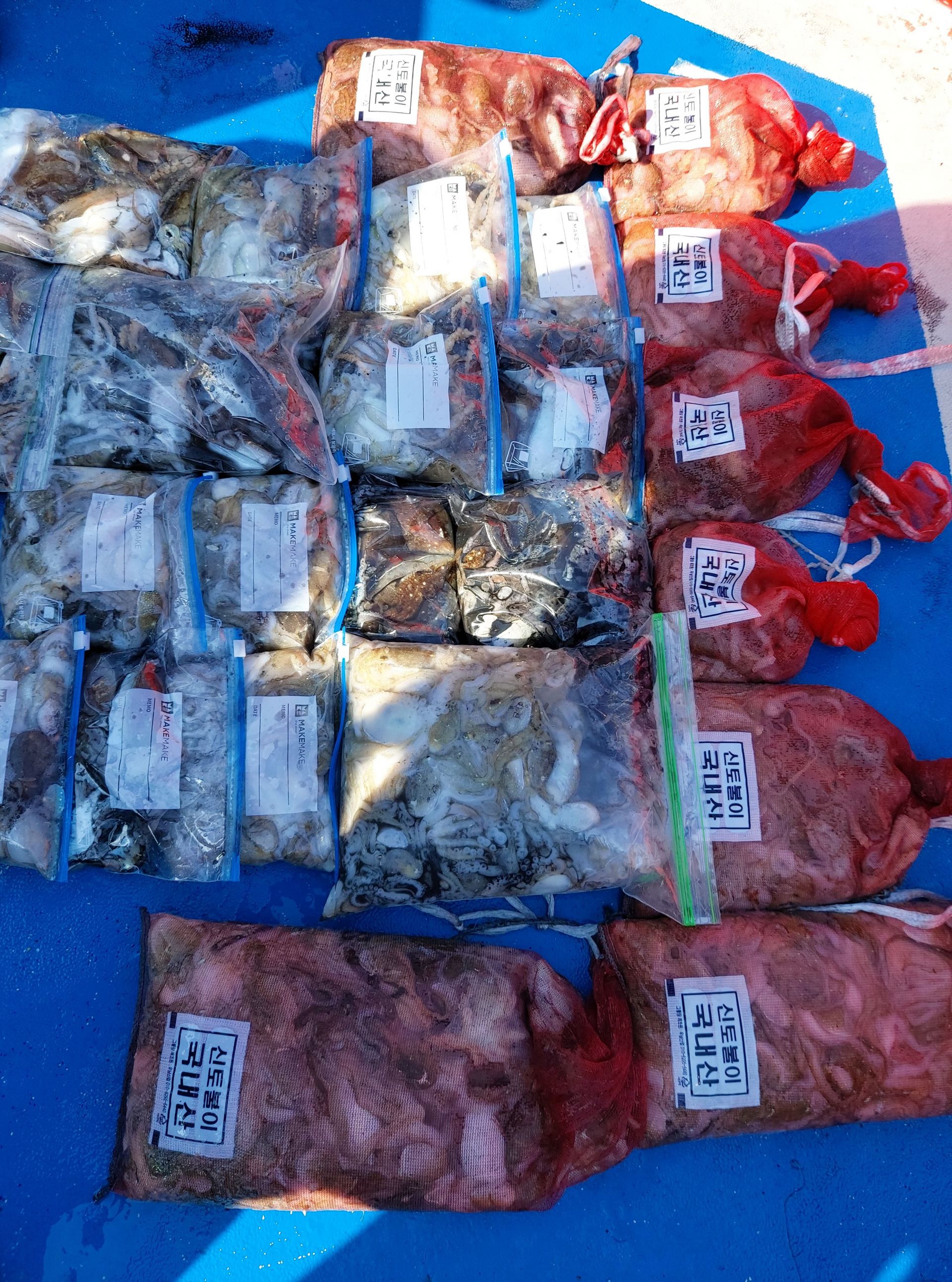 21년 9월 19일 주꾸미 갑오징어 조황입니다.