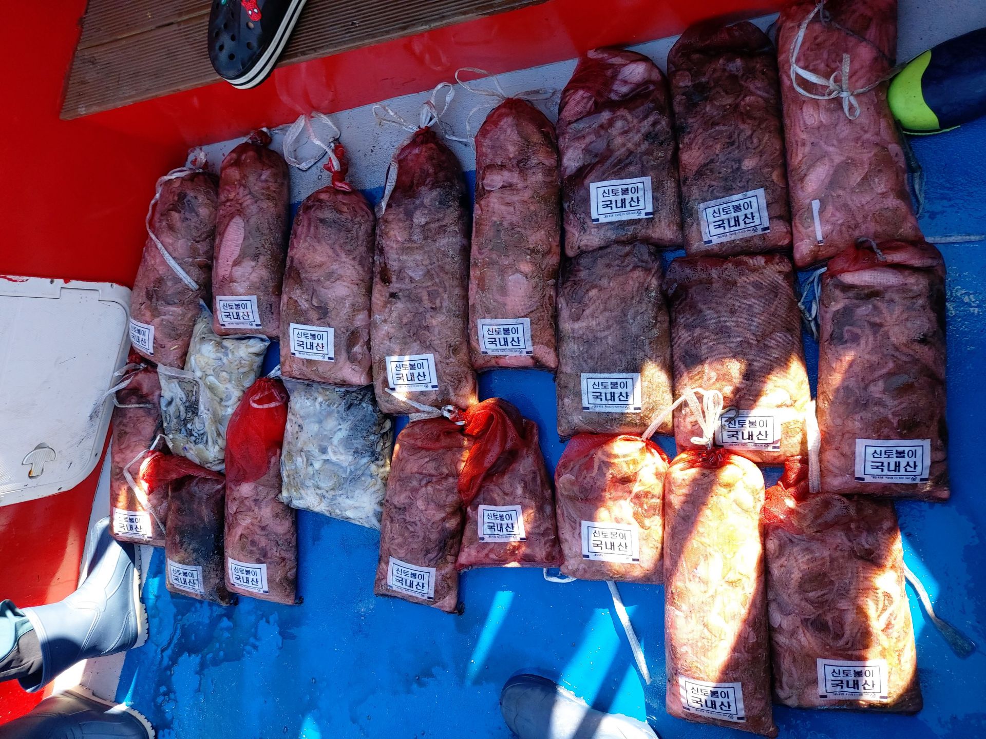 21년 9월 18일 주꾸미 갑오징어 조황입니다.