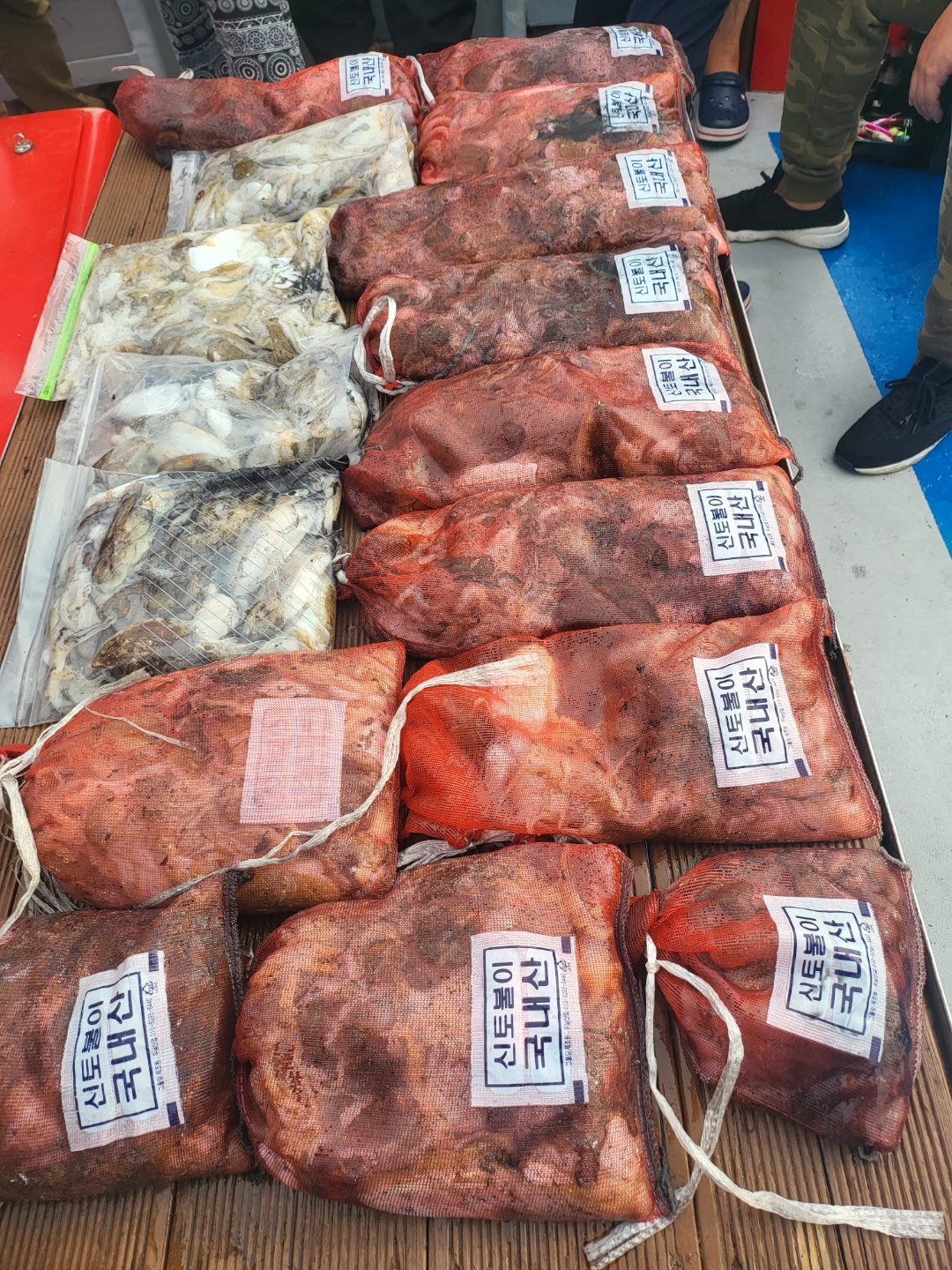 21년 9월 13일 주꾸미 갑오징어 조황입니다.