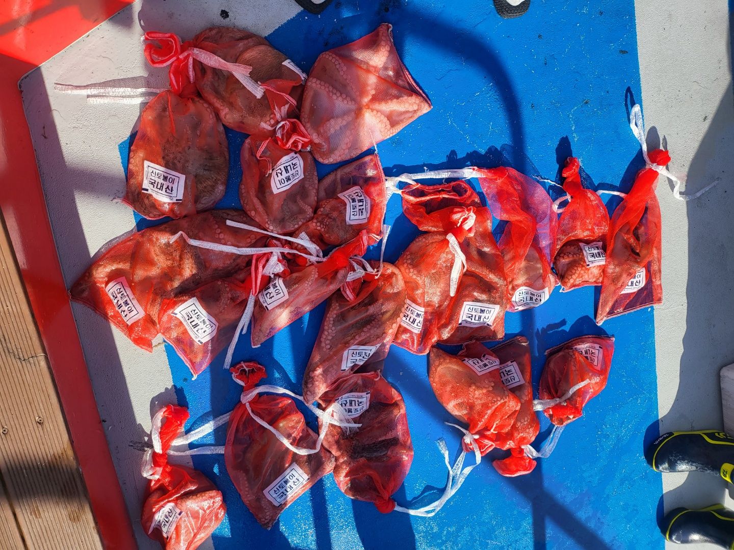 21년 9월 23일 주꾸미 갑오징어 문어 조황입니다.