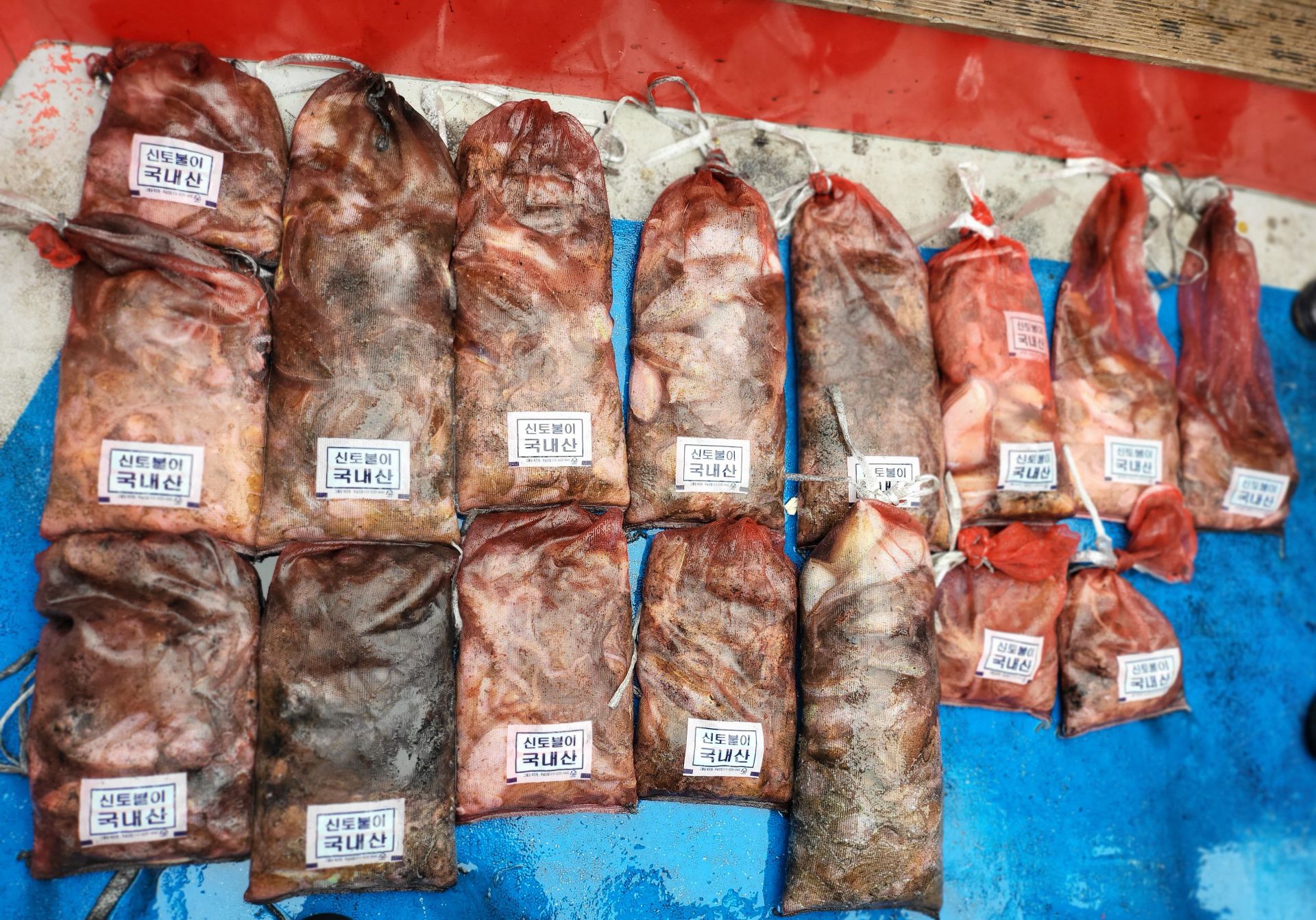 10월15일 쭈꾸미.갑오징어 출조 조황...