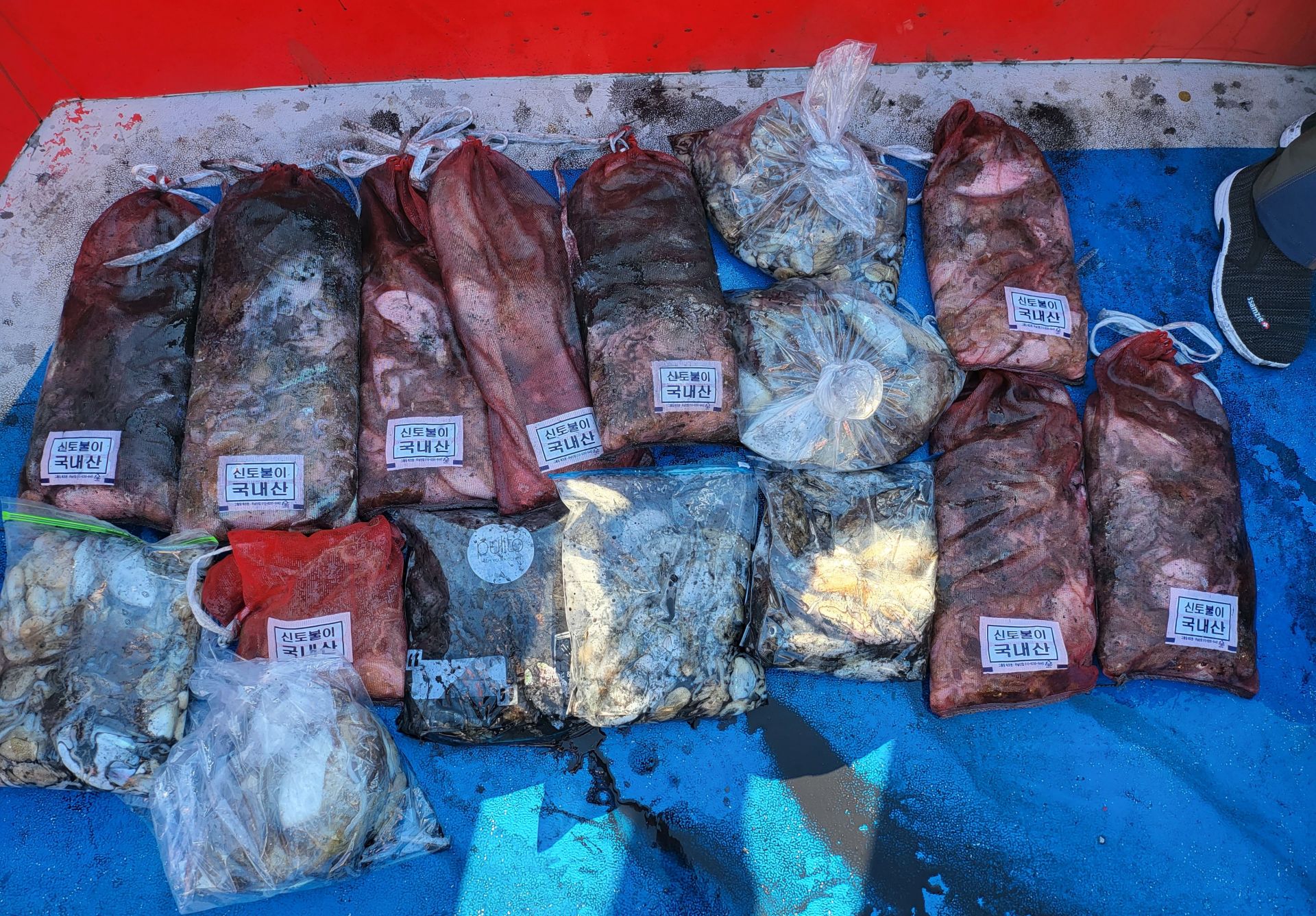 10월14일 쭈꾸미.갑오징어 낚시  출조 조황...