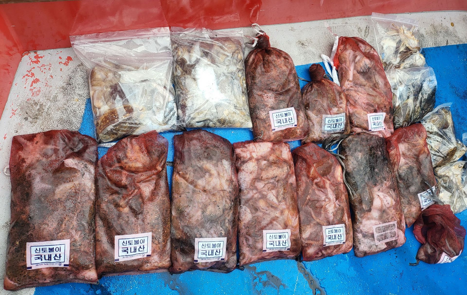 10-10 쭈꾸미.갑오징어 출조 조황...