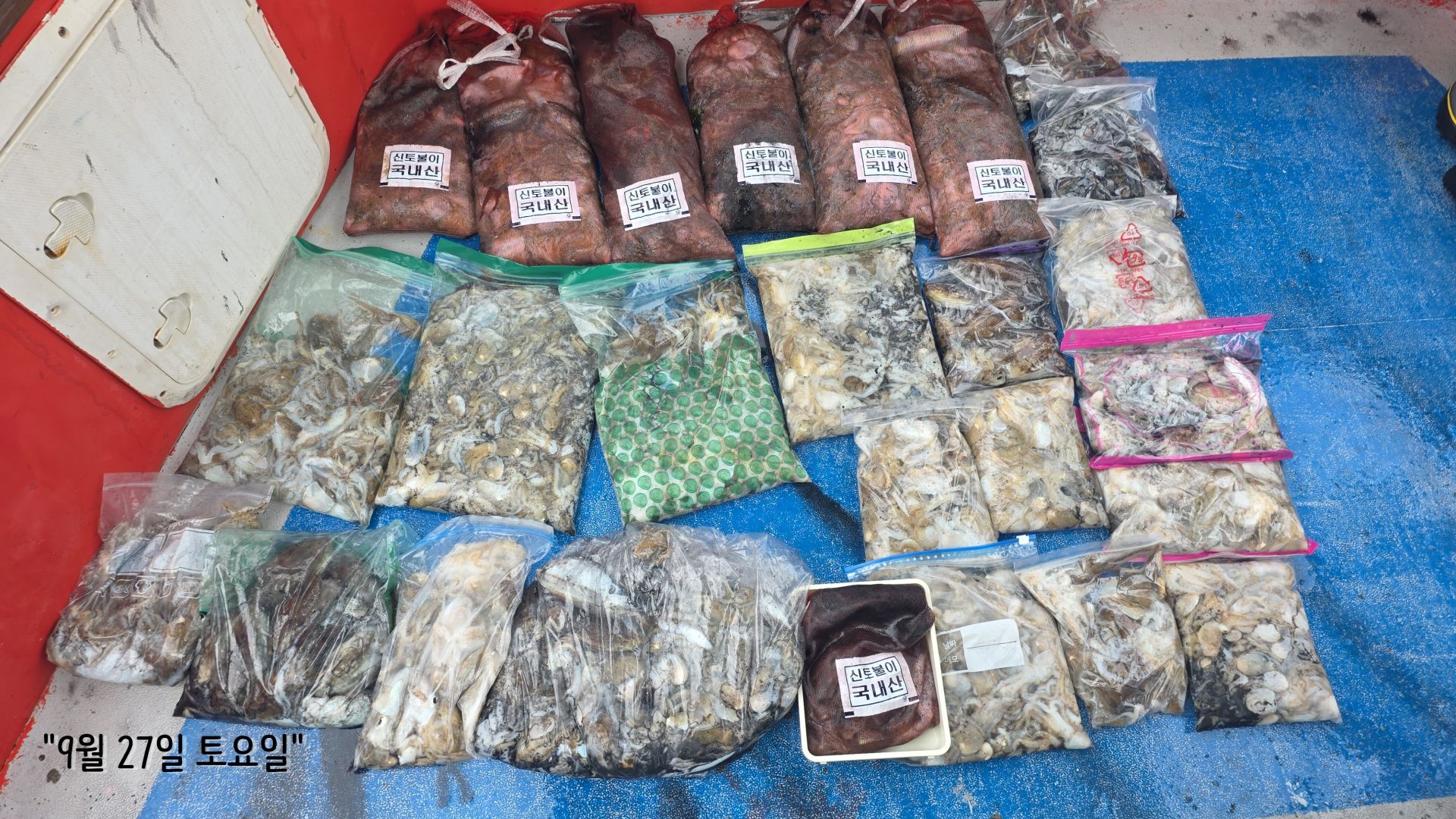 9/27 쭈꾸미, 갑오징어 출조 조황...