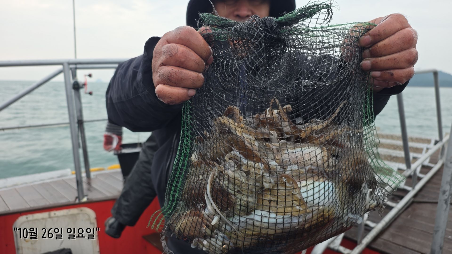 10/26 먼바다 갑오징어 출조 조황...