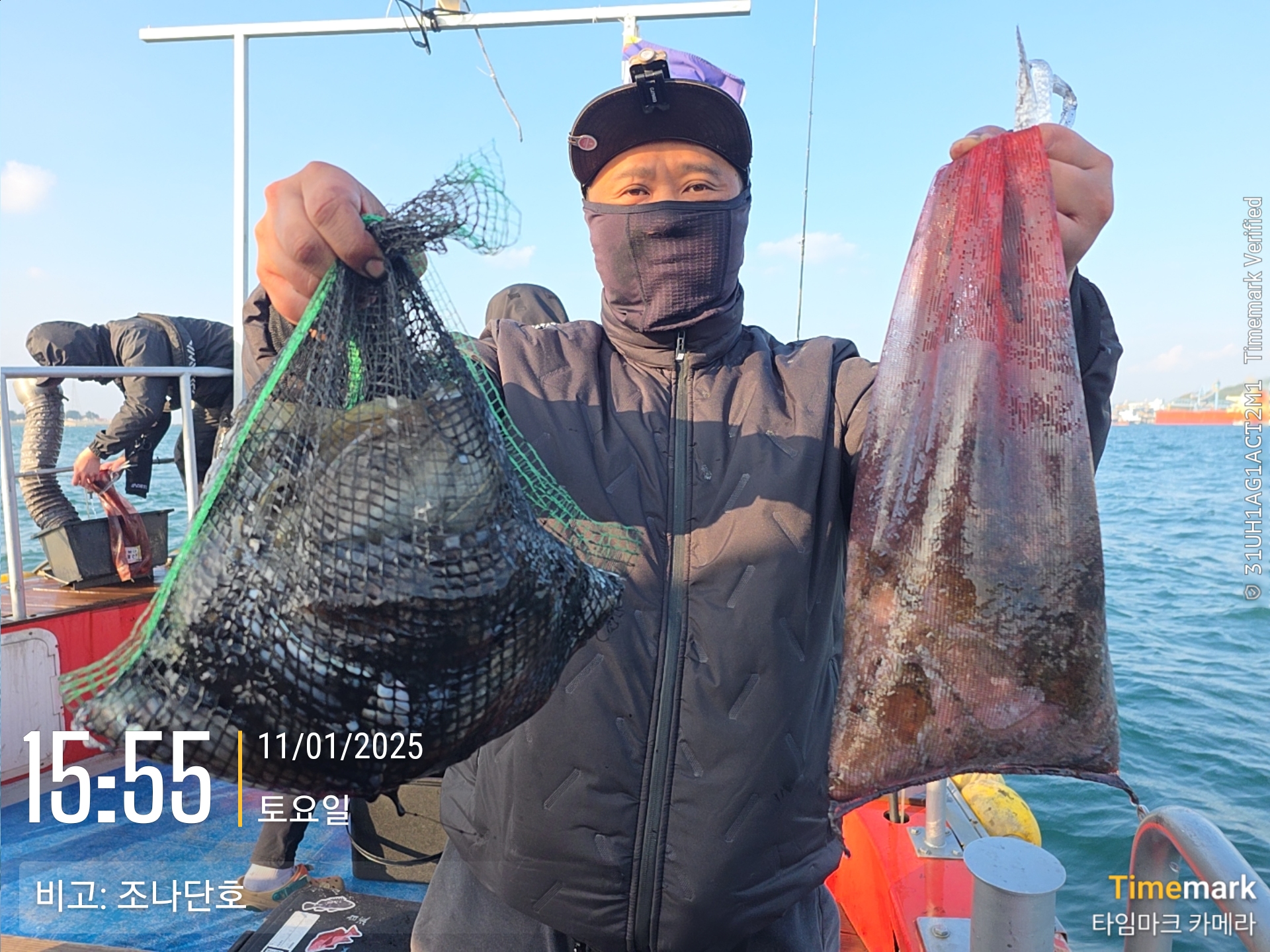 11/1 갑오징어 출조 조황...